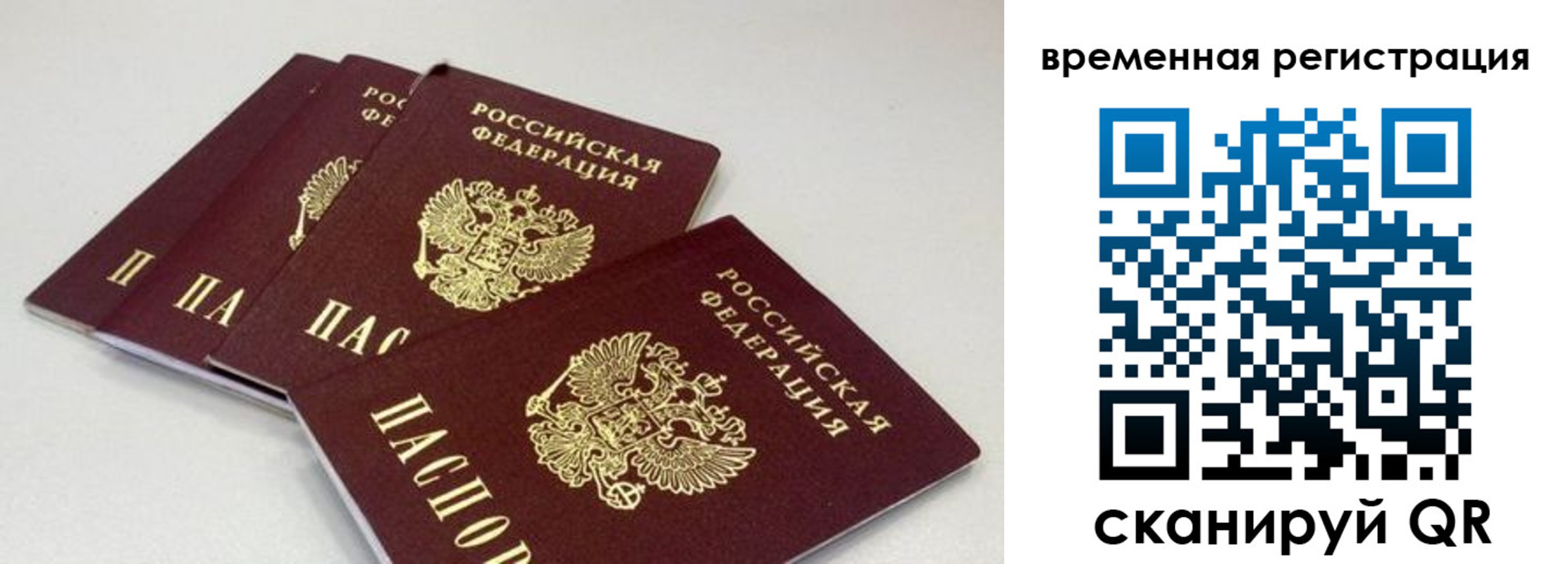 временная регистрация собственник в Новосибирской области